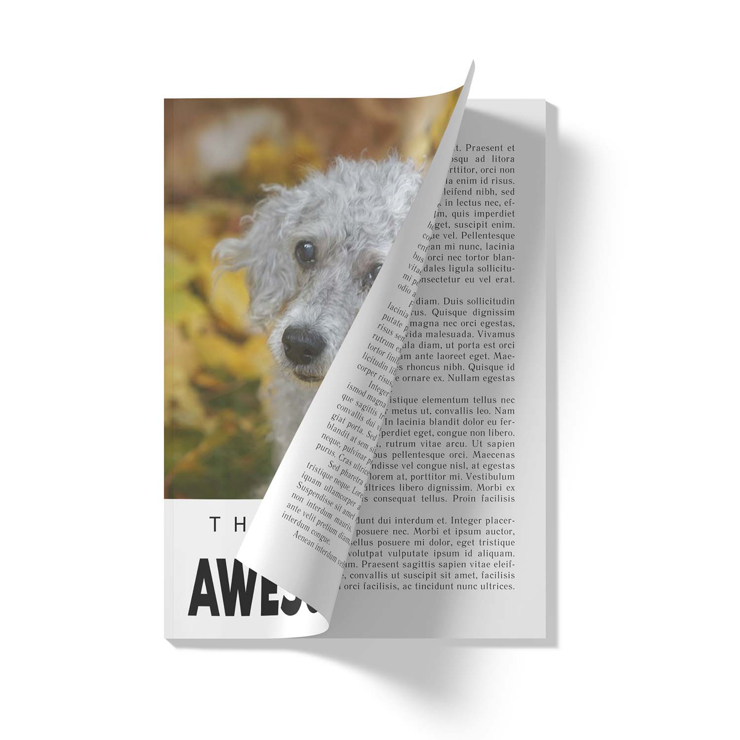 Perfect Binding Sample